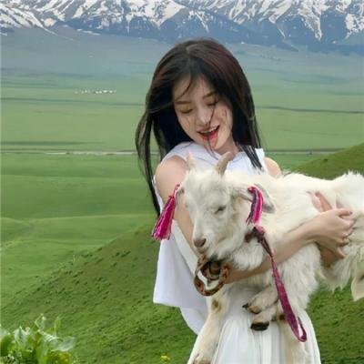 战地女护士