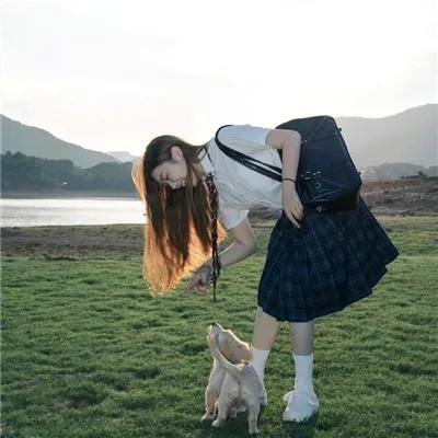虎鹤双形